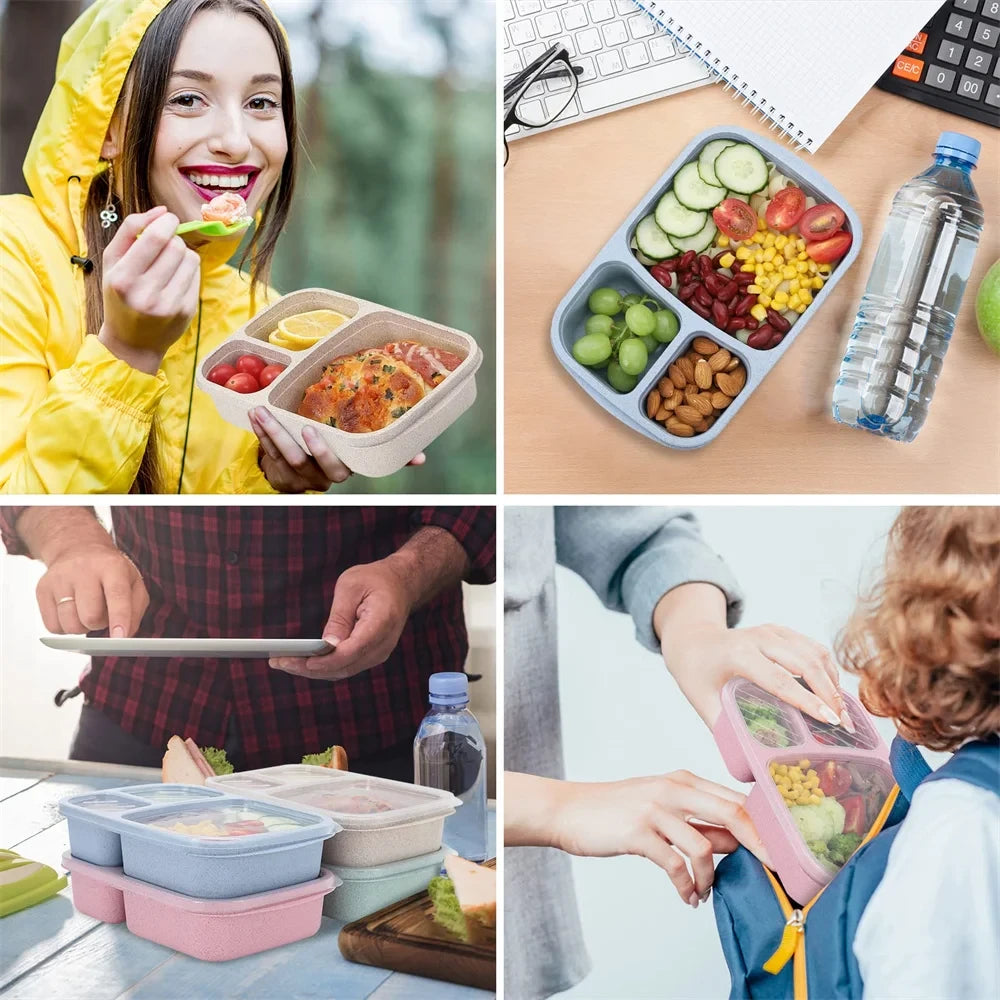 3-Compartment Snack Container